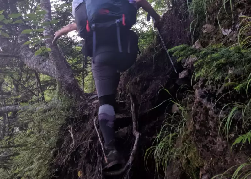 サポート系タイツの機能・こんな人におすすめ