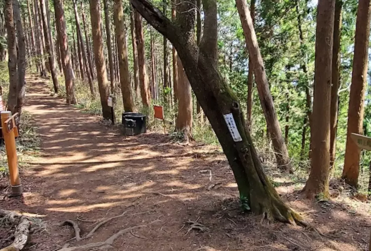 高尾山 登山 登山道