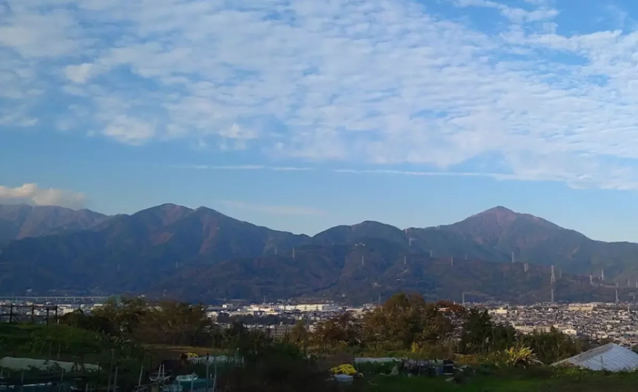 浅間台へと緩やかなトレイル