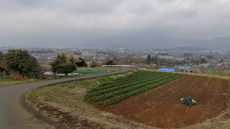秦野駅周辺の町並み