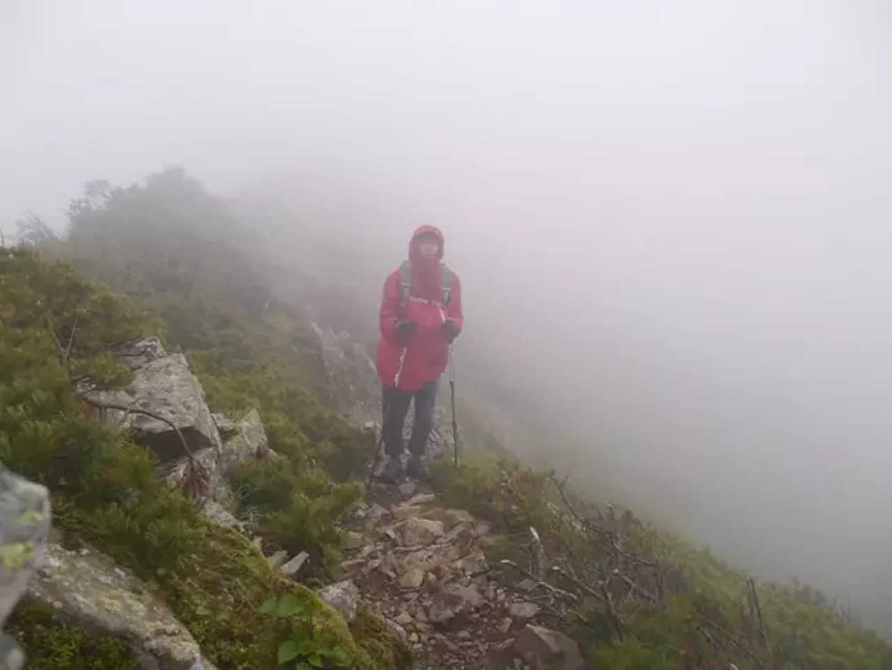 マーモット ゼロ ソリタリー ビビィ