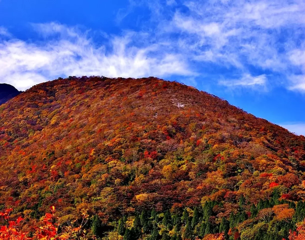 紅葉登山 伊吹山
