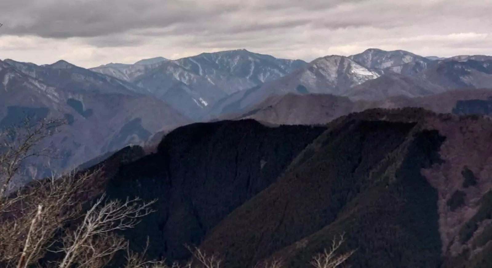 【東京から日帰り登山】奥多摩川苔山・モデルコースと難易度