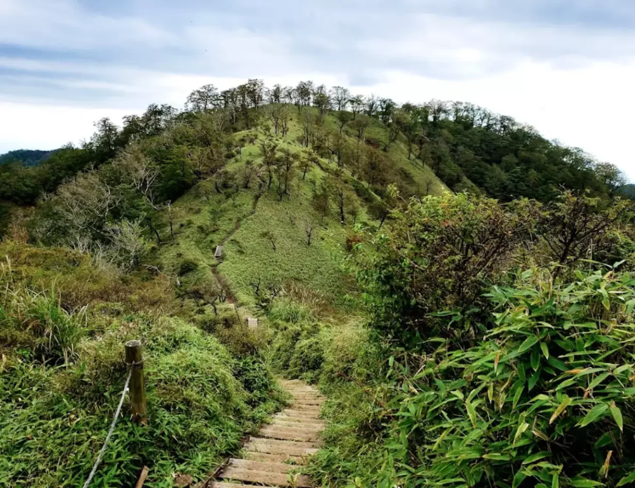 静かな山歩きを楽しめる丹沢山