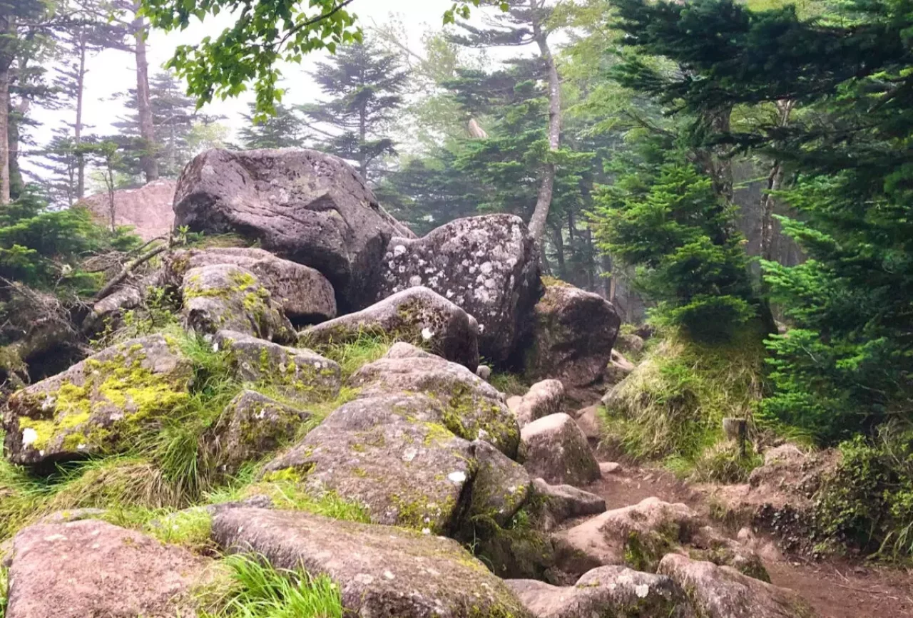 稲子湯からの天狗岳へ向かう周回コース-鎖場ありの中級者向け登山
