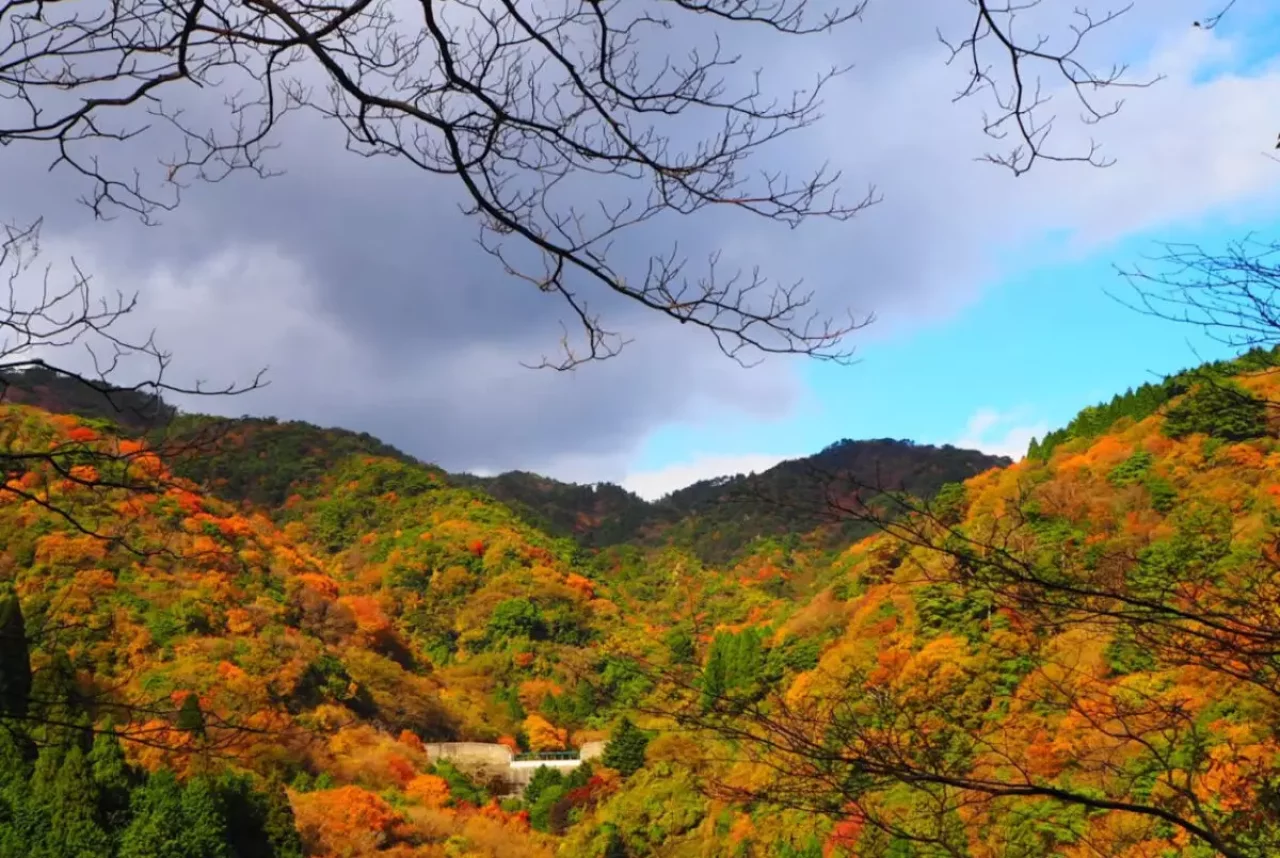 紅葉登山 六甲山