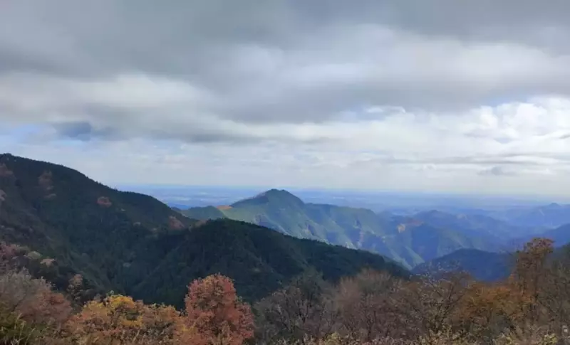 ③長尾平:11時20分【東京から日帰り登山】奥多摩御岳山・モデルコースと難易度