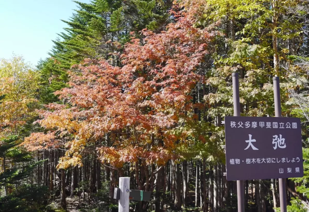 北奥千丈岳 登山 大弛峠