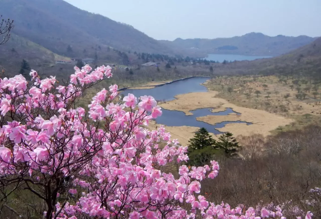 多彩なコースを選んで登山を楽しむことが出来る