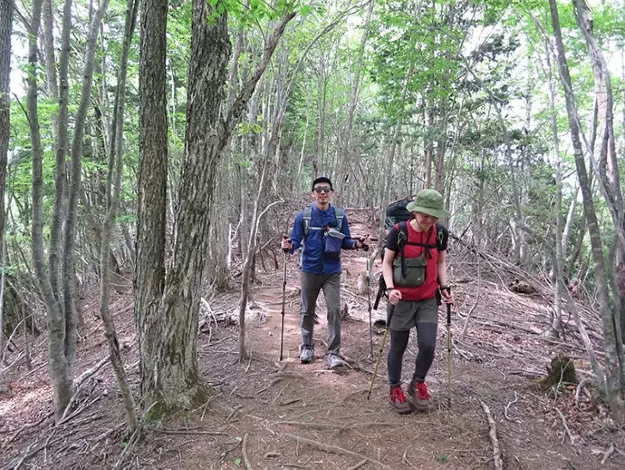 マーモット サコッシュ