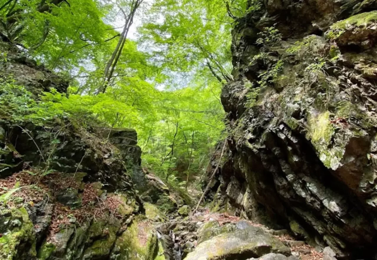 ④ロックガーデン:12時05分~13時05分【東京から日帰り登山】奥多摩御岳山・モデルコースと難易度