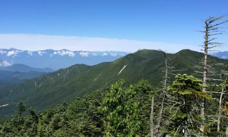 北奥千丈岳 登山 五丈岩 眺望