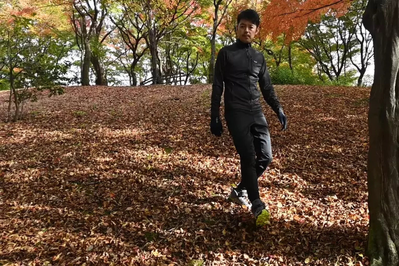 【登山初心者必見】登山で疲れない歩き方をマスターしよう−基本の歩き方をベースに登りと下りの歩行技術を学ぶ