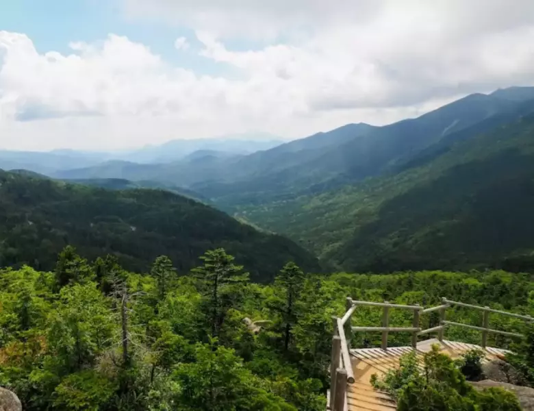 北奥千丈岳 登山 登山道