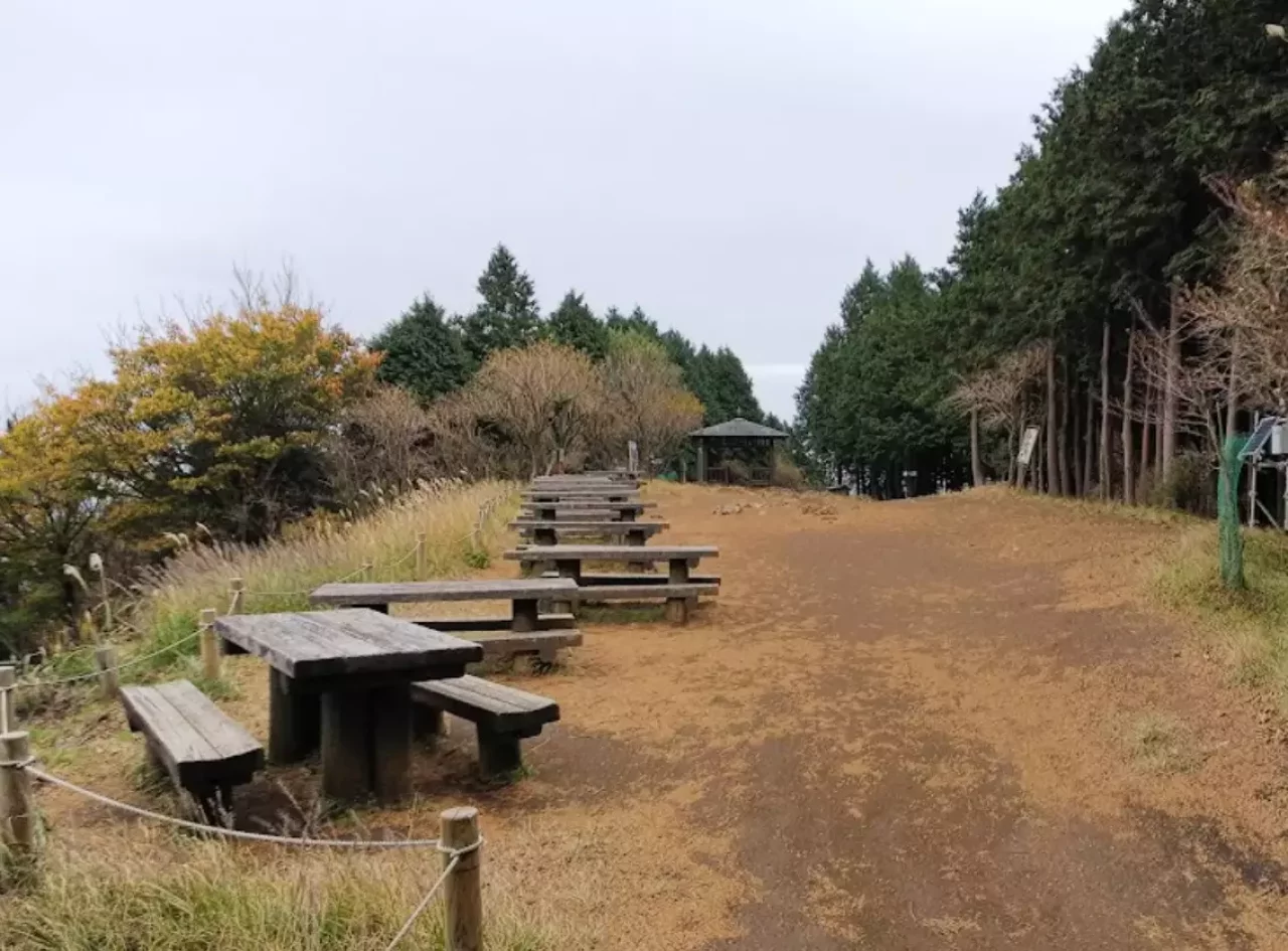 大山まで向かうマイナールート