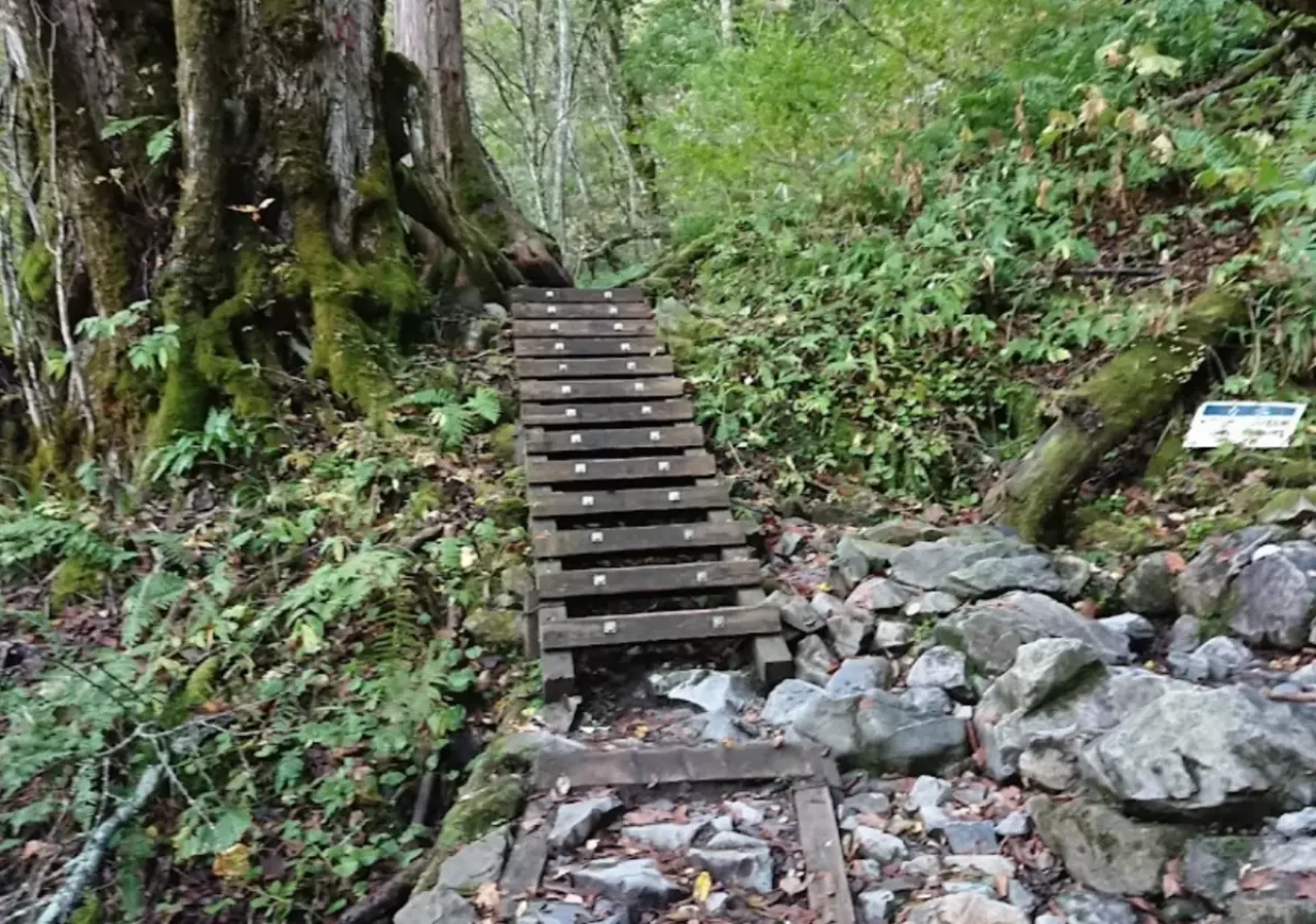 三股から蝶ヶ岳を経由する周回登山