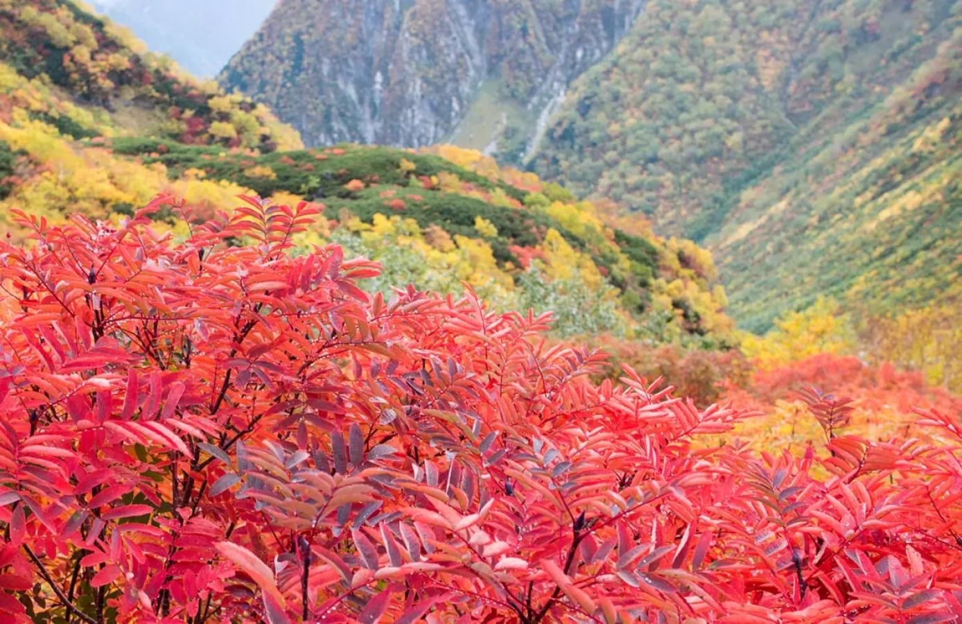 <2021年>紅葉・黄葉見頃予想!紅葉登山を楽しもう!