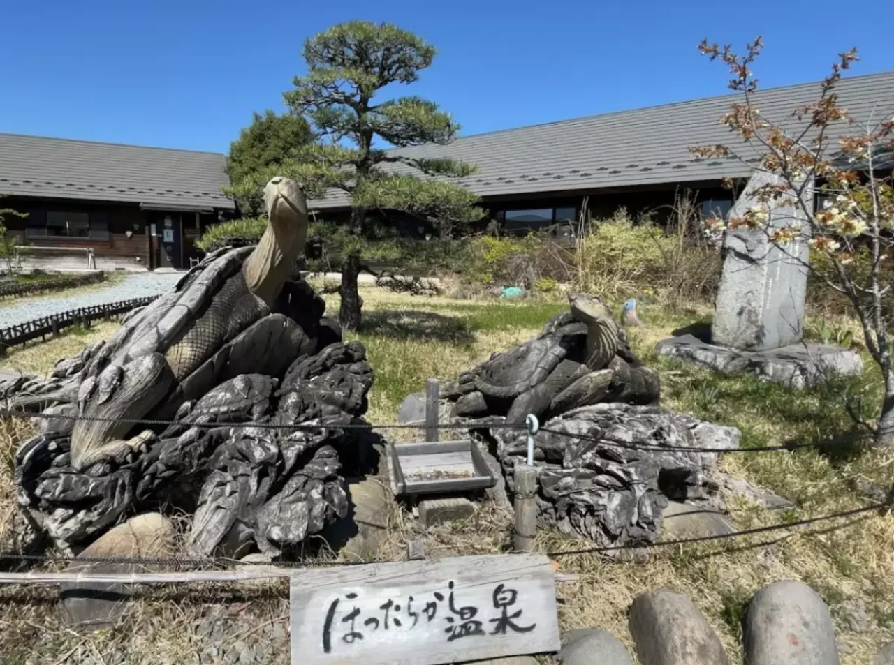 奥秩父 登山 ほったらかし温泉 観光 温泉