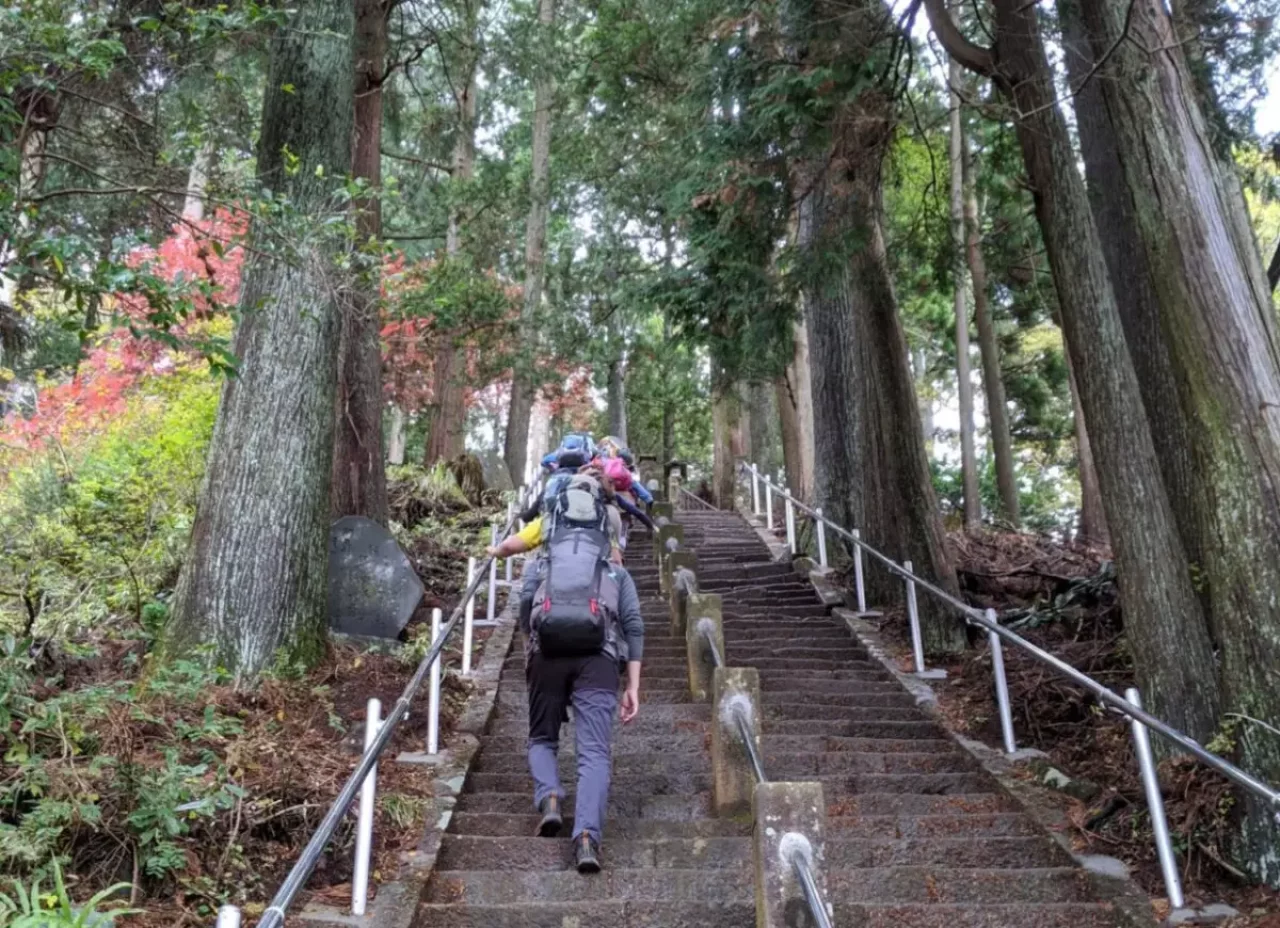 阿夫利神社駅:9時25分~9時55分
