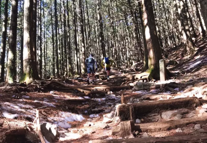 標高1000m〜2000mの春・秋山登山の服装とレイヤリング|登山の入門・マニュアル|ハウツー・ヒント|山のコト|登山・トレラン・山スキーマガジン「山旅旅」