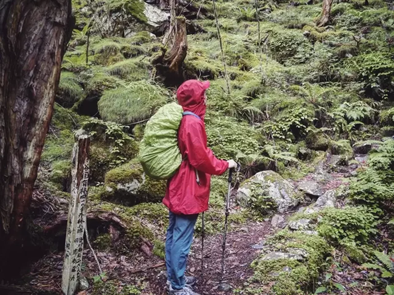 ウォルター・ウェストンが歩いた徳本峠への道
