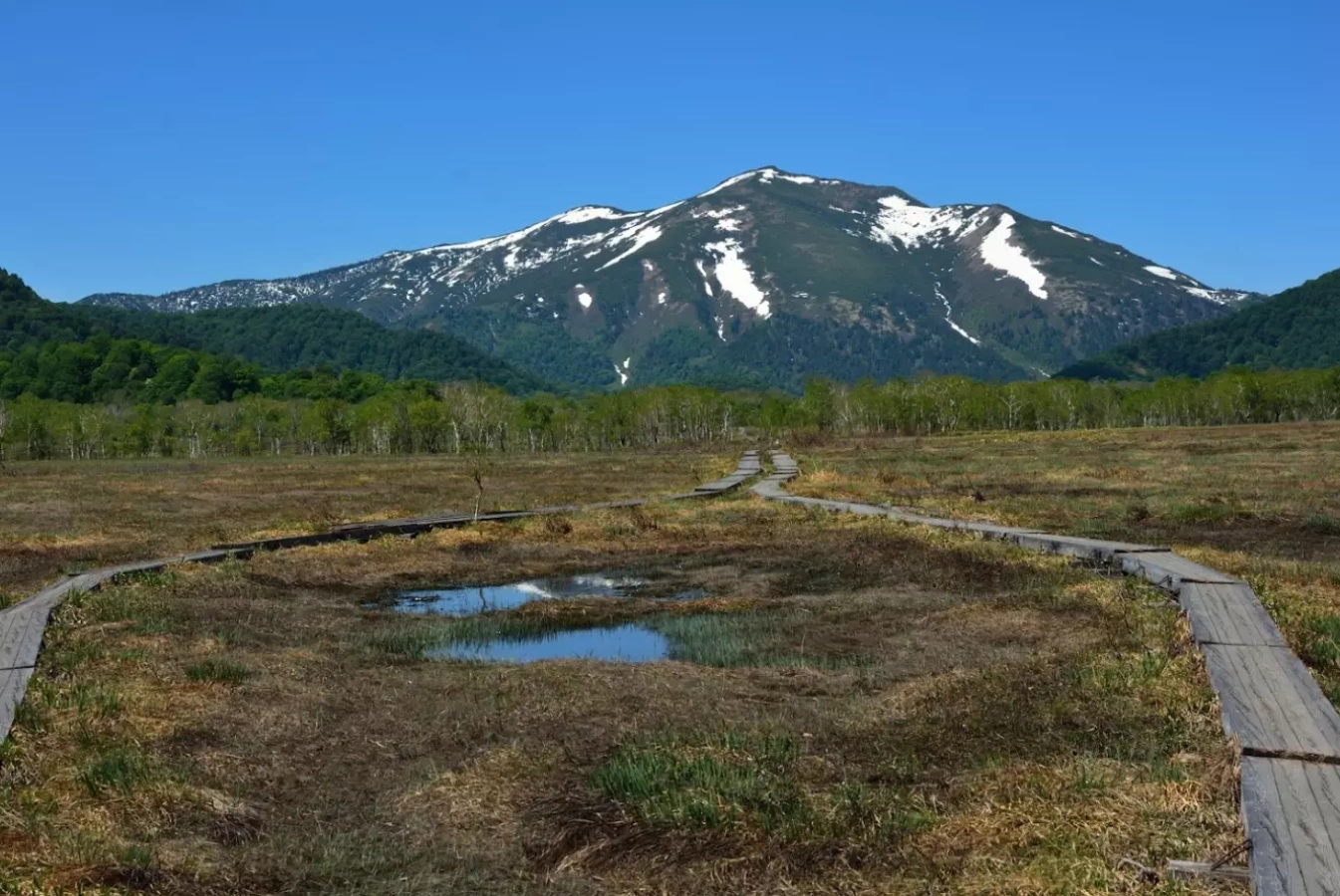 シーズン到来!尾瀬の登山の楽しみ方−尾瀬歩きの服装と山小屋の営業情報