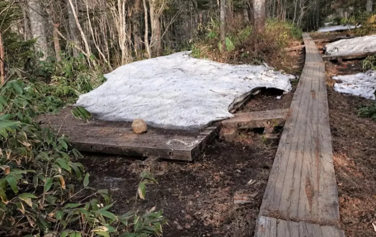 5月末から6月にかけての尾瀬歩きの注意点