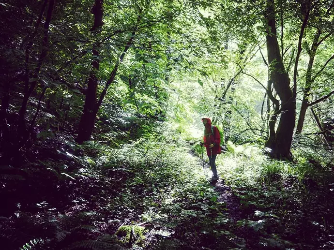 ウォルター・ウェストンが歩いた徳本峠への道