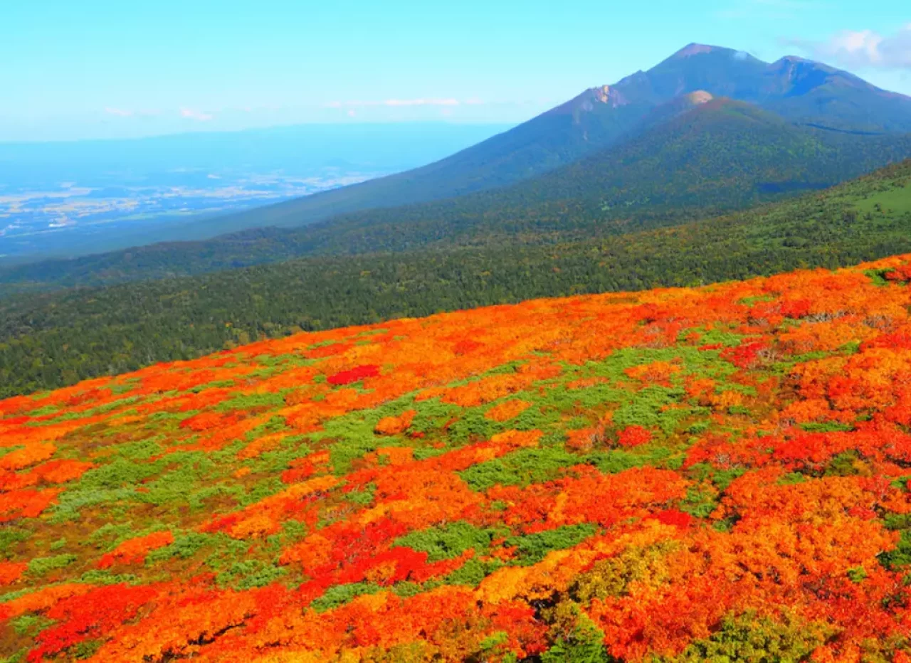 八幡平 紅葉登山