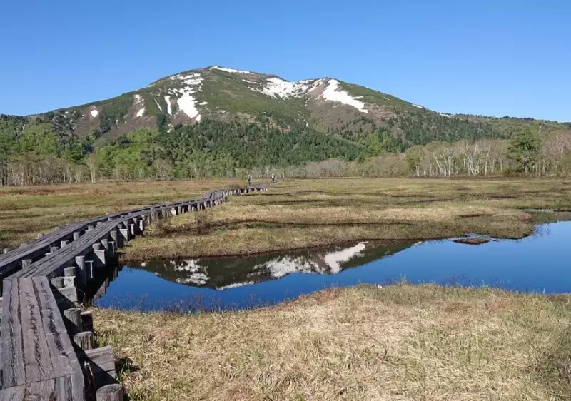 花々が咲き乱れる尾瀬ヶ原