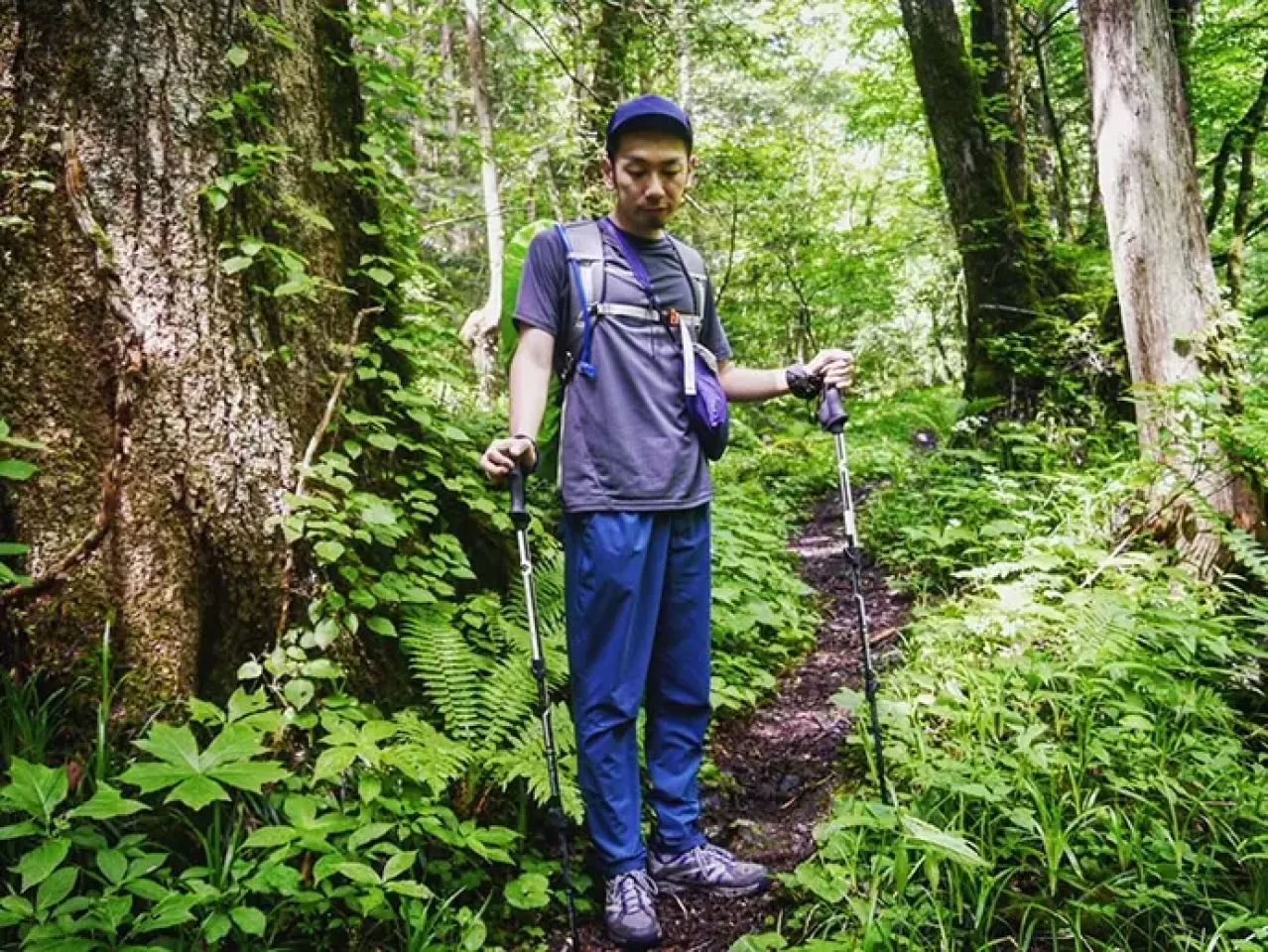 マーモット サコッシュ