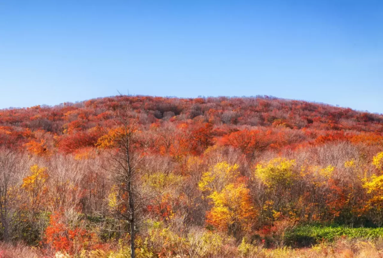 安達太良山 紅葉登山