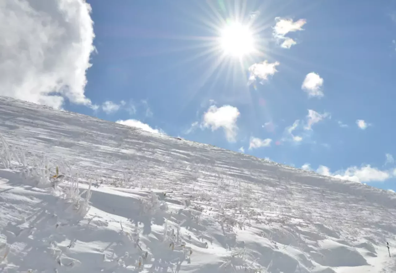 スノーシュー雪山ハイクを楽しめる霧ヶ峰-難易度初級