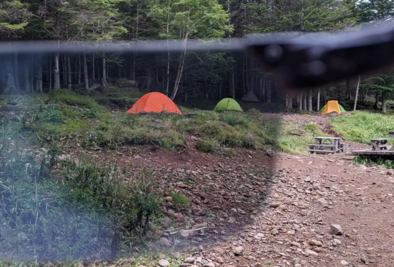 細かな枝や小さな虫や砂埃から目を守る