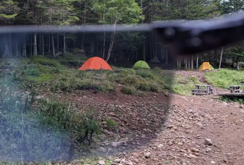 細かな枝や小さな虫や砂埃から目を守る