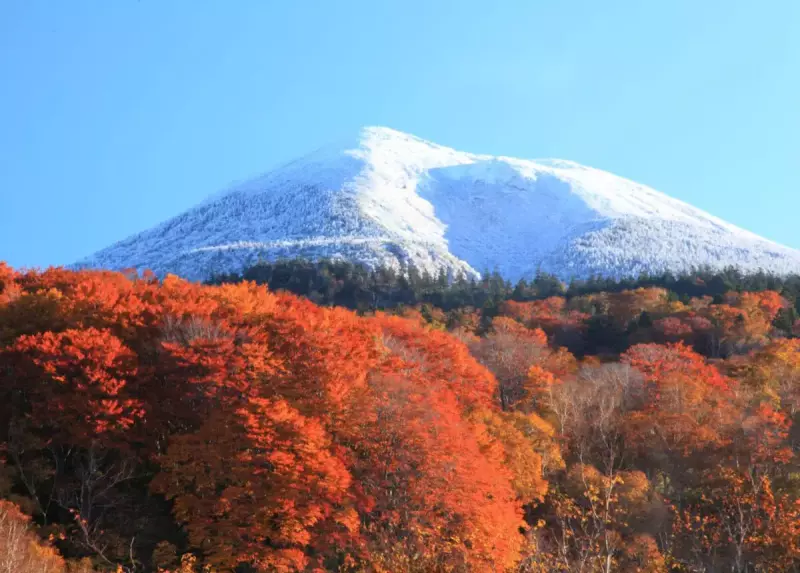 八甲田山 紅葉登山