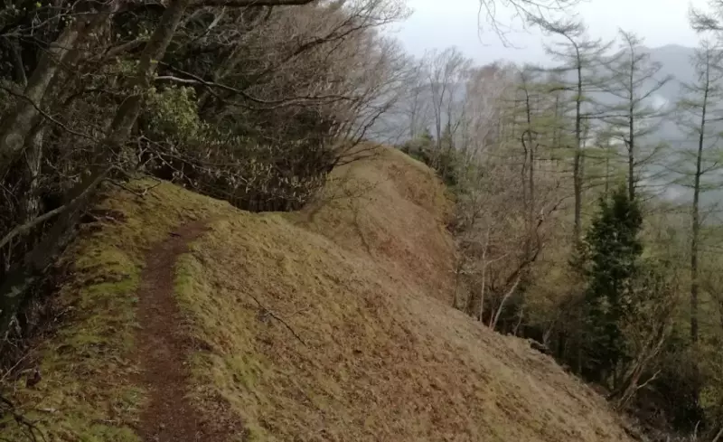 川苔山の魅力