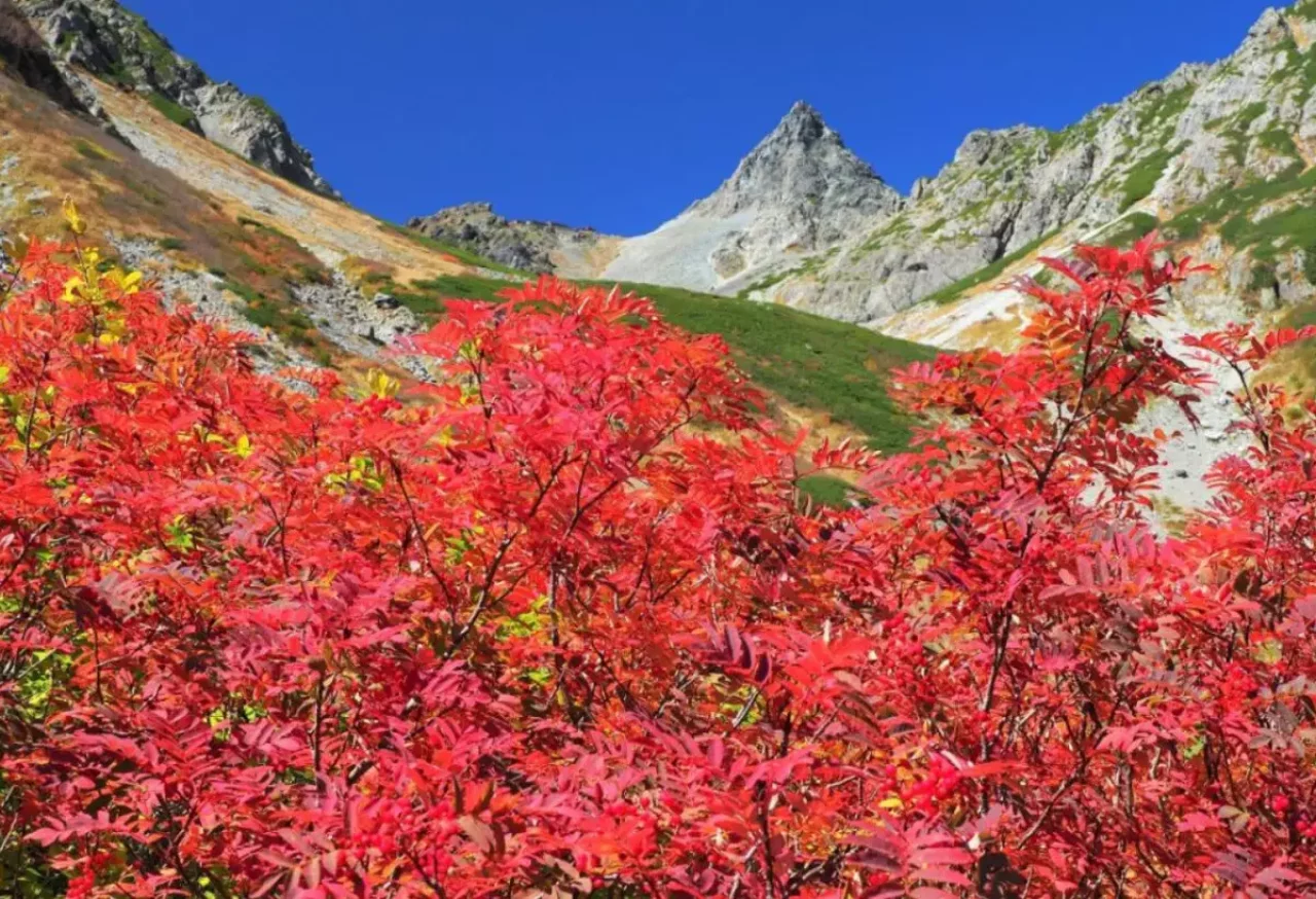 槍ヶ岳周辺 北アルプスの紅葉登山