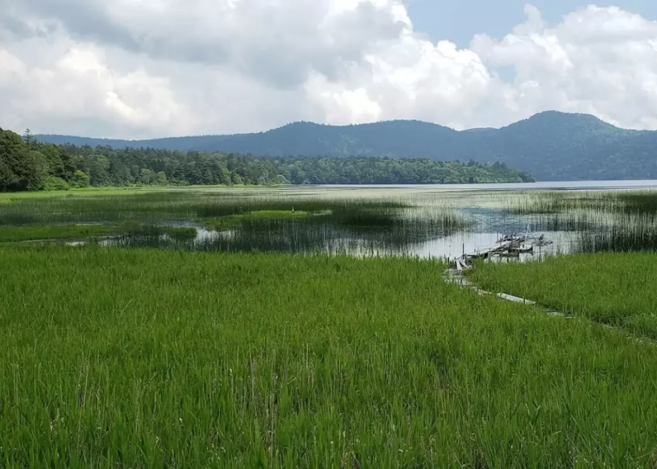 尾瀬沼から尾瀬ヶ原