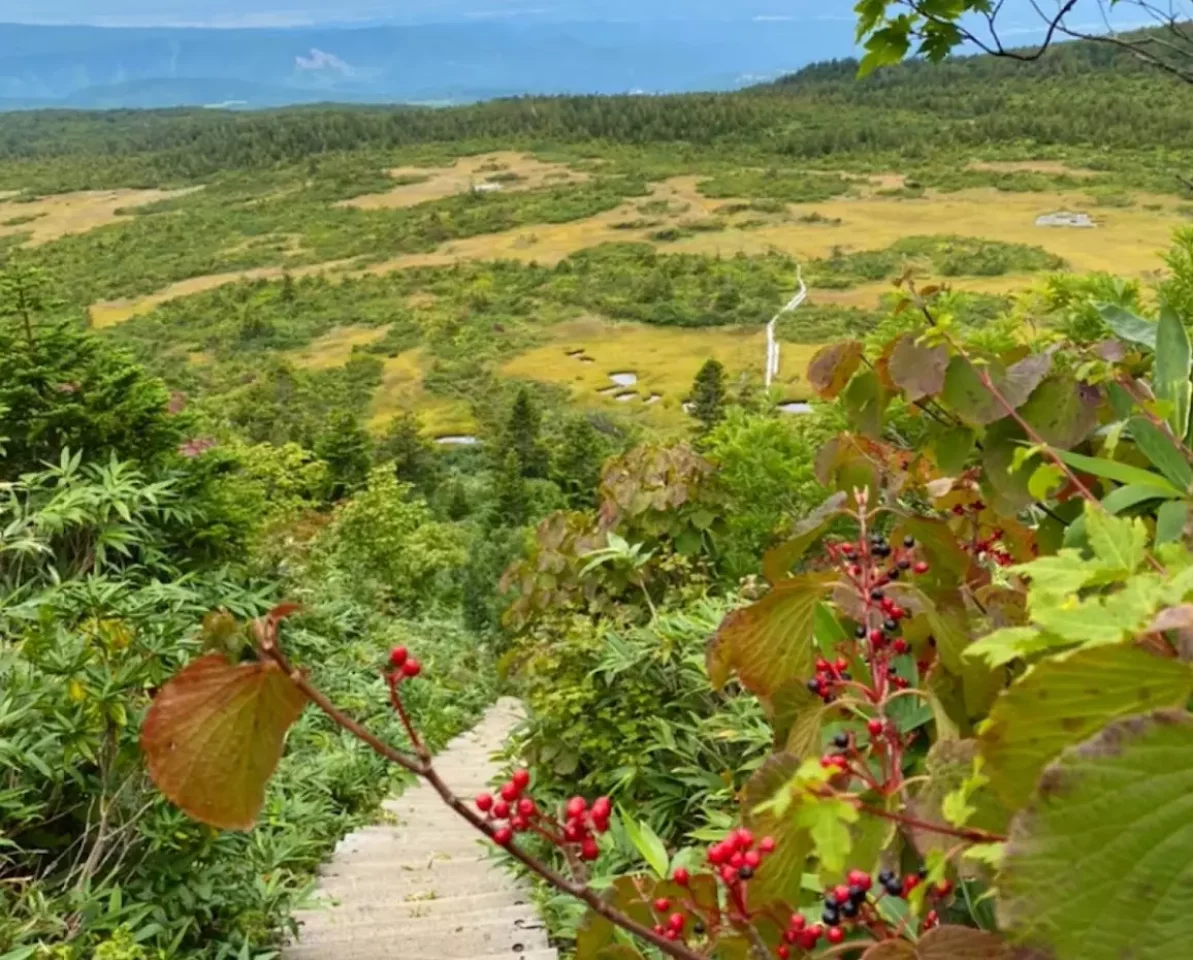 下毛無岱の景色