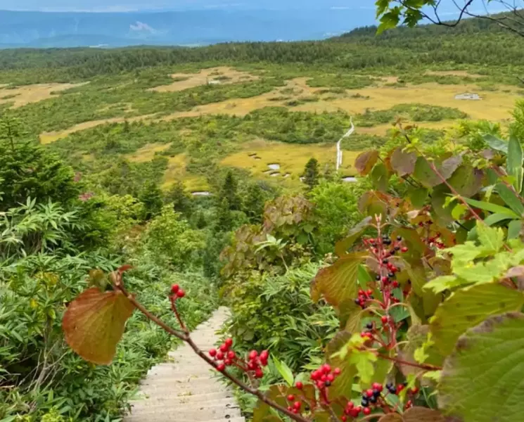 下毛無岱の景色
