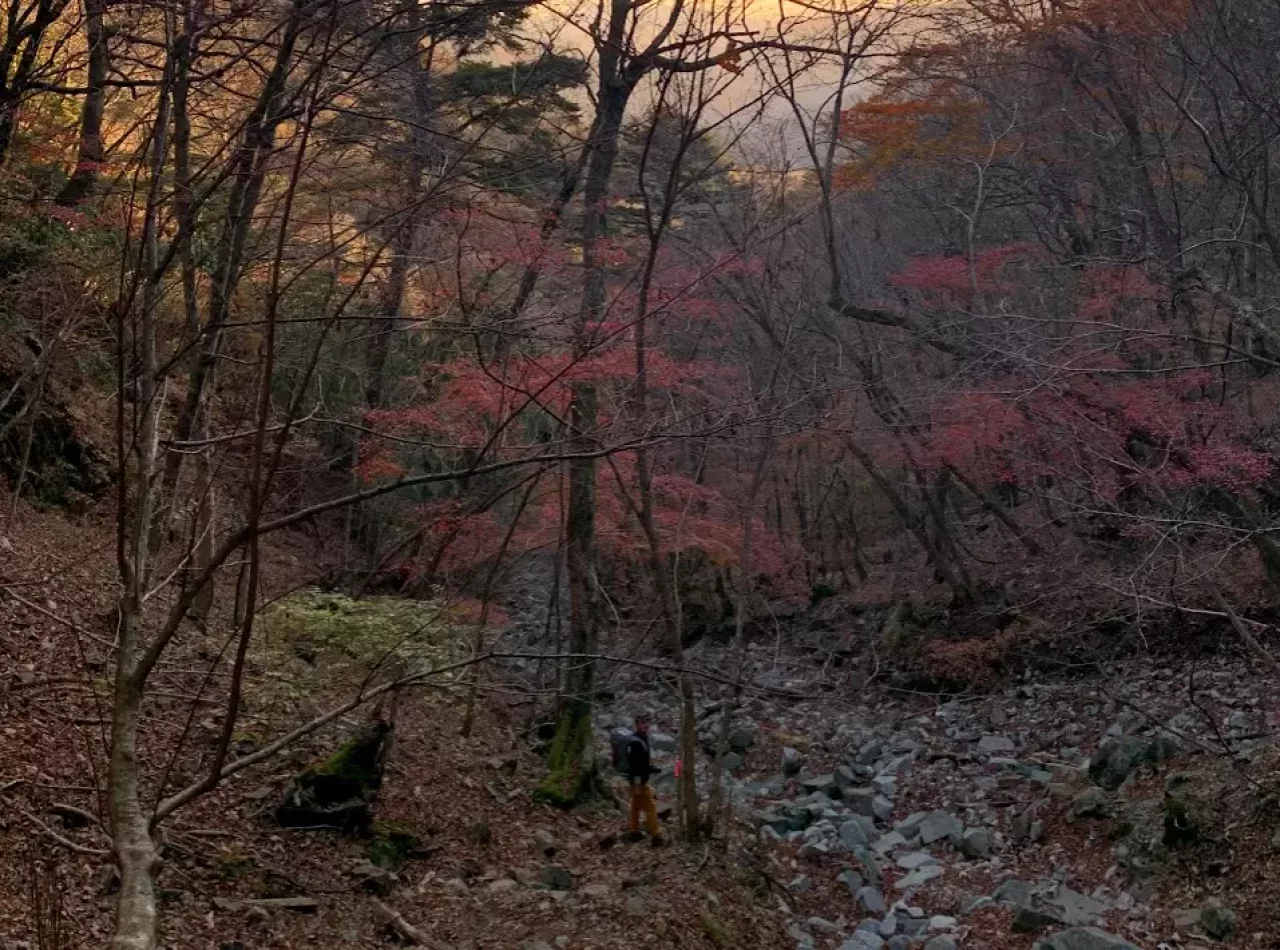 ビバークの判断基準