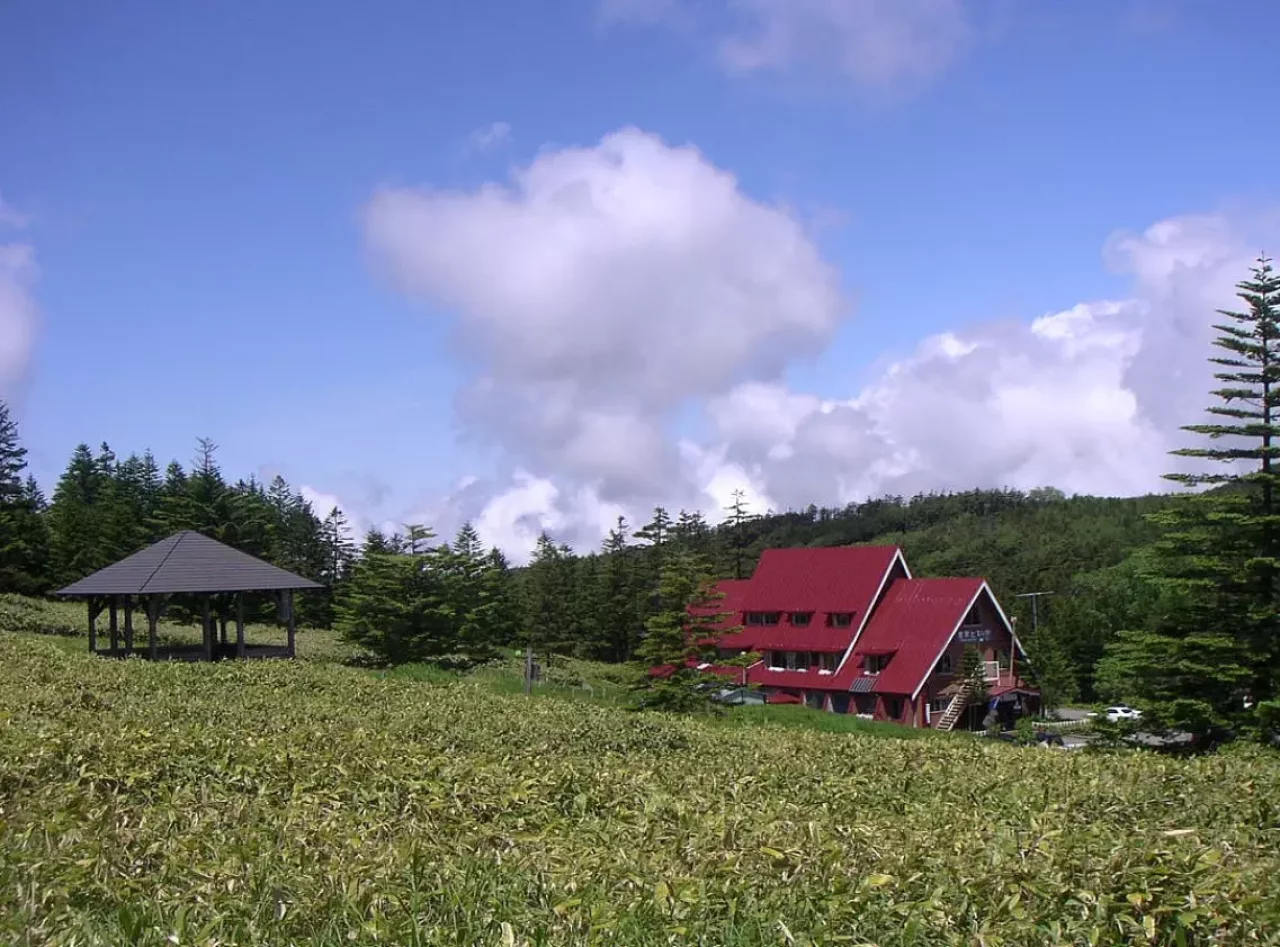 北横岳 登山 北八ヶ岳 自然