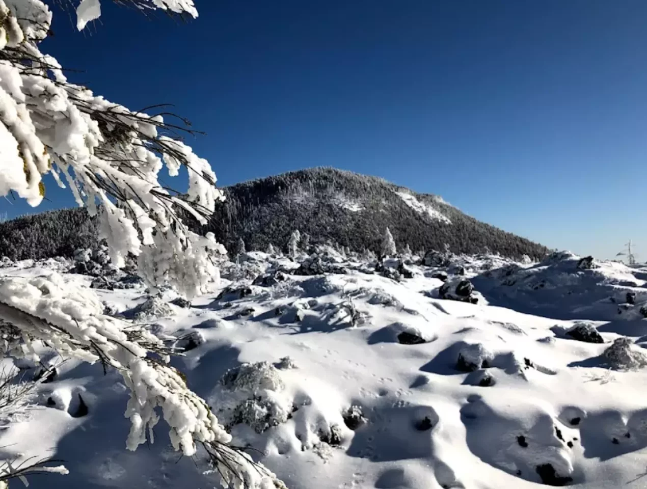 北横岳 登山 北八ヶ岳 冬山