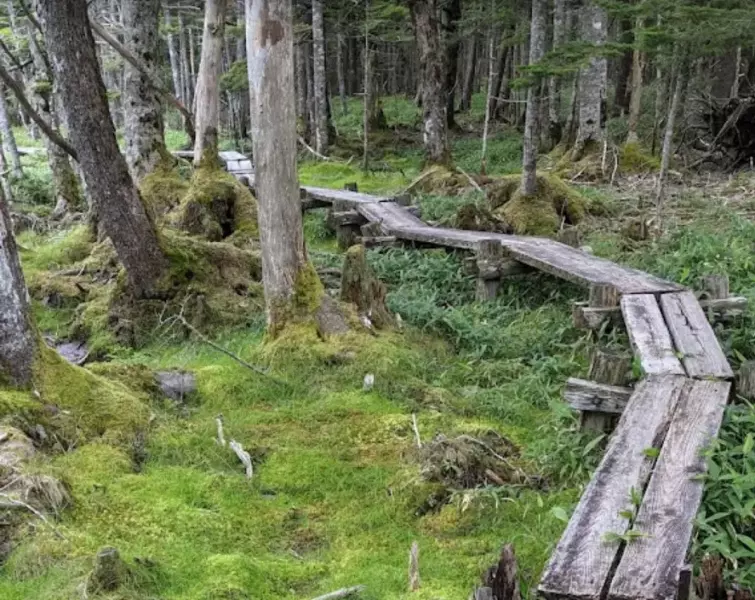 北横岳 登山 北八ヶ岳 登山道