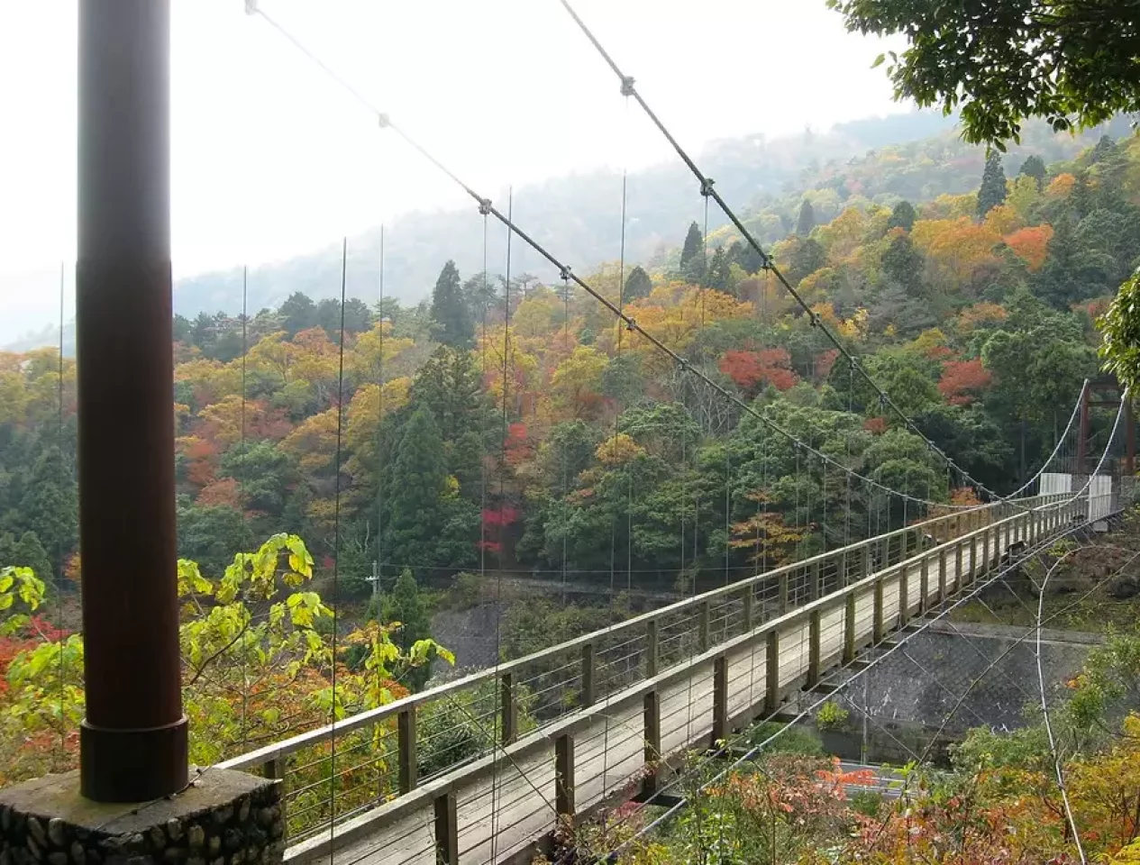 大江山連峰トレイル