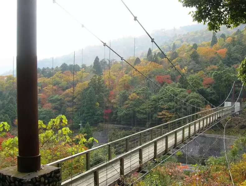 大江山連峰トレイル