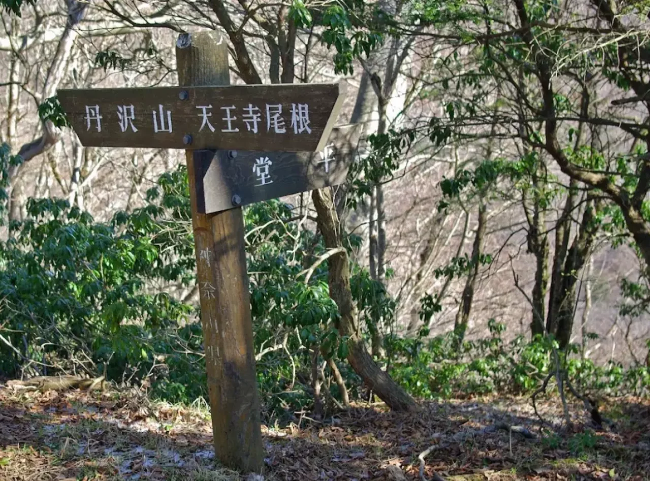 丹沢山への最短ルート−天王寺尾根を利用して山頂へ