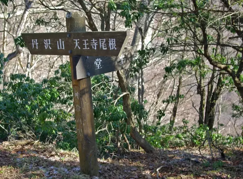 丹沢山への最短ルート−天王寺尾根を利用して山頂へ