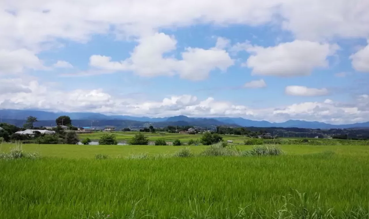 浅間・八ヶ岳パノラマトレイル